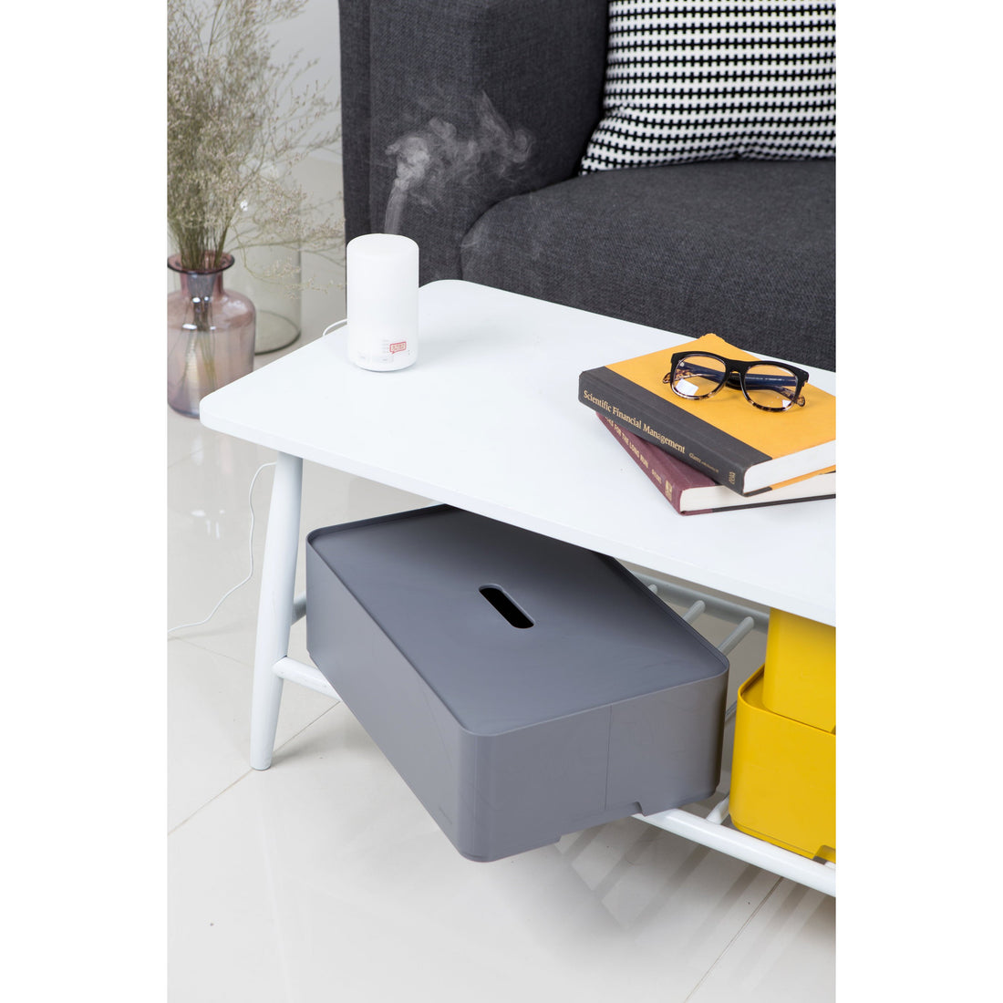 Caja organizadora Myroom Opera c/tapa L gris