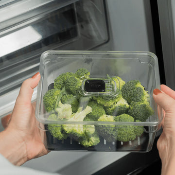 Organizador refrigeradora Clear Fresh c/tapa 2.2L negro