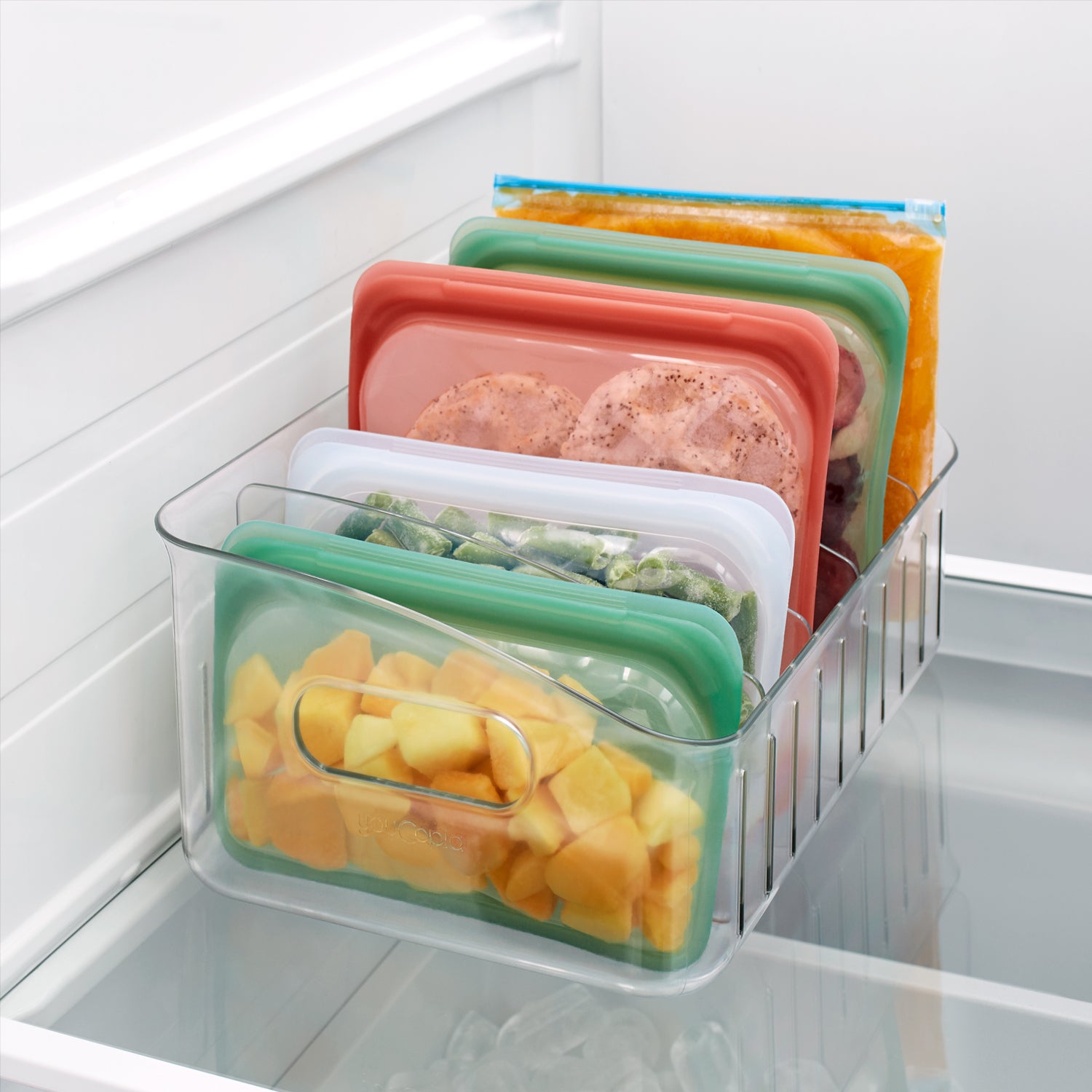 Contenedor 1L para Congelador o Freezer  Freezer, Congelado, Alimentos  congelados