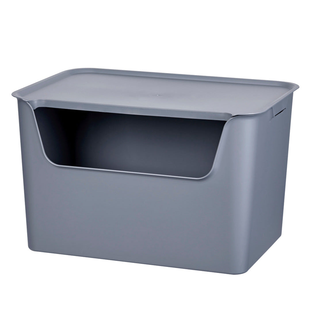 Caja organizadora Living box XL 30 litros gris