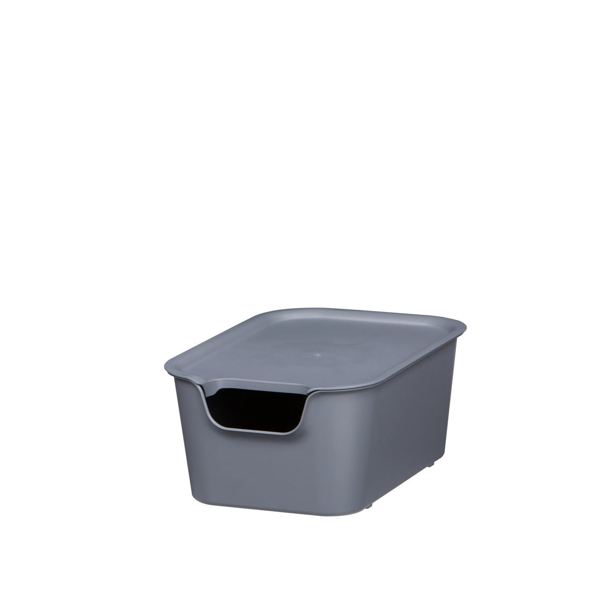 Caja organizadora Living box S 3 litros gris