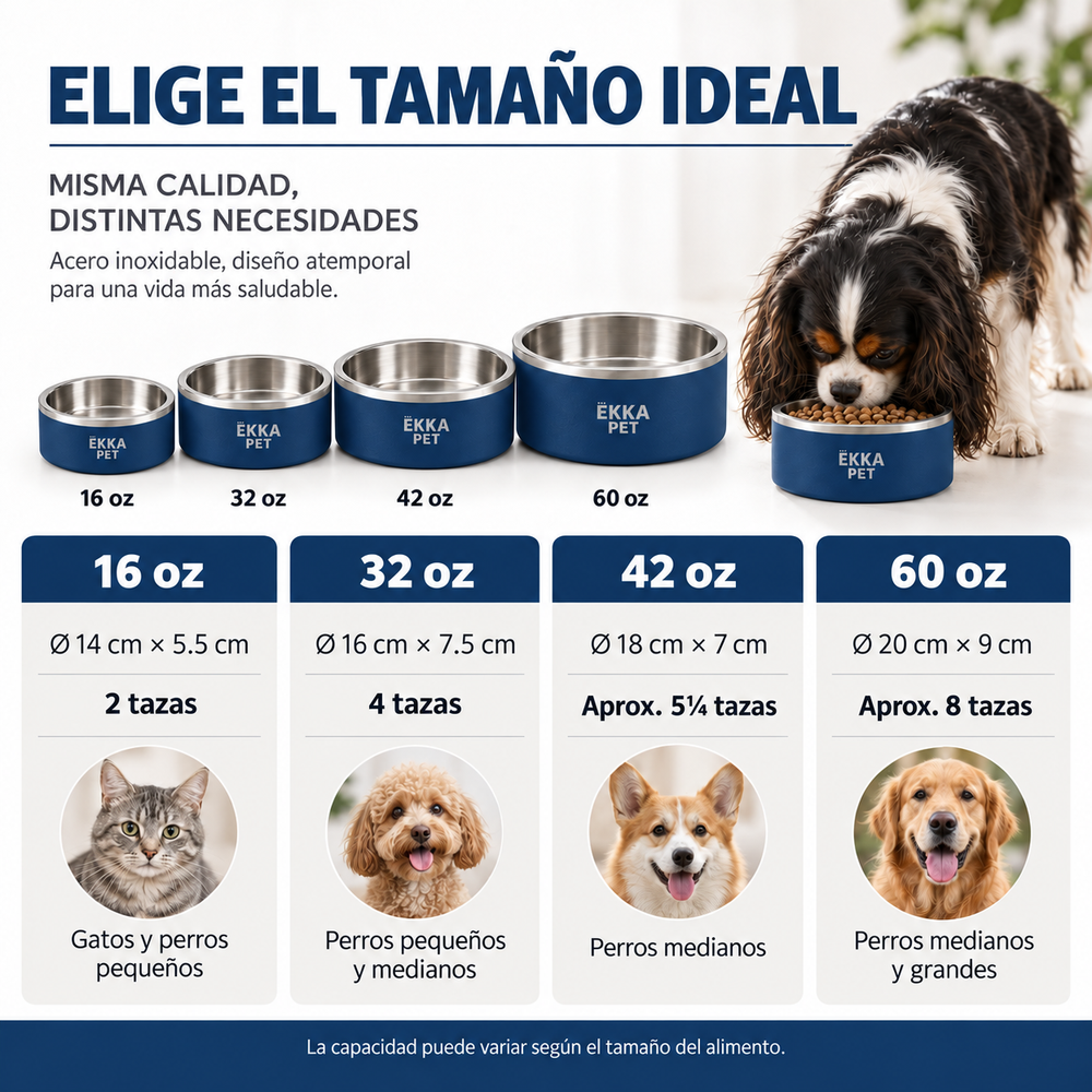 Bowl para mascotas de acero inoxidable azul