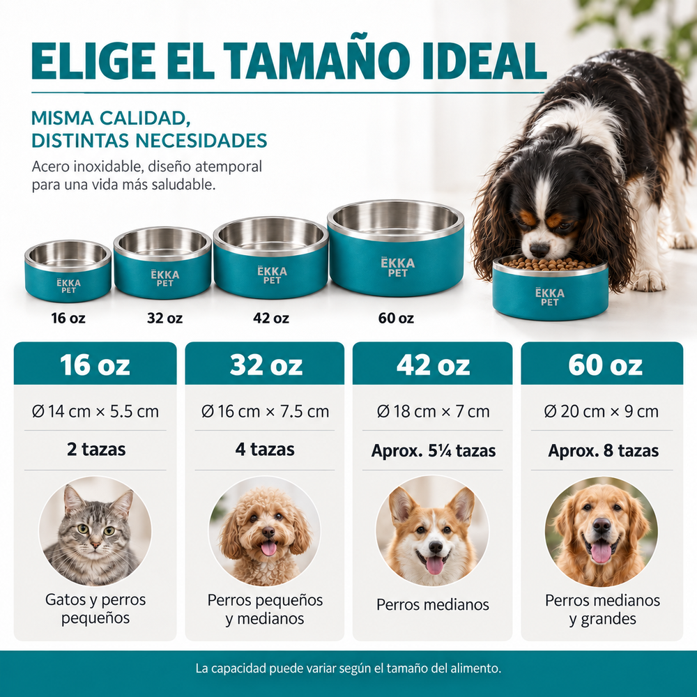 Bowl para mascotas de acero inoxidable verde azulado