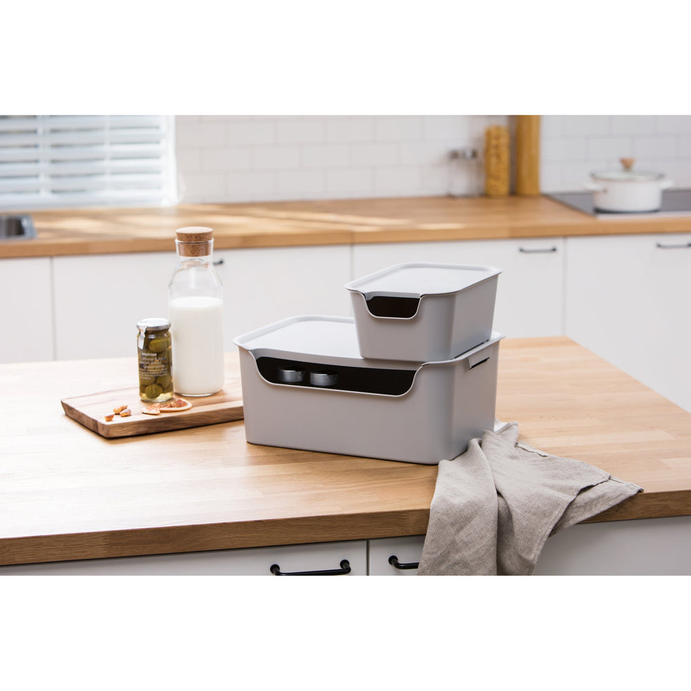 Caja organizadora Living box S 3 litros gris