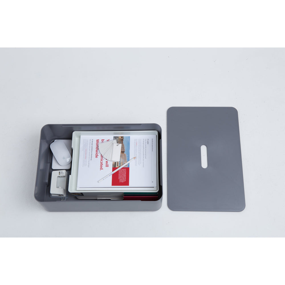 Caja organizadora Myroom Opera c/tapa L gris