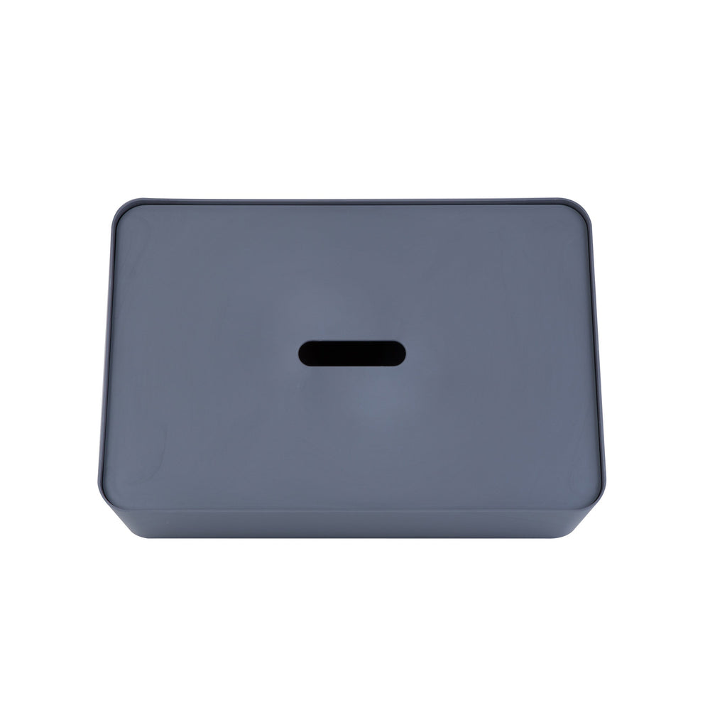 Caja organizadora Myroom Opera c/tapa L gris