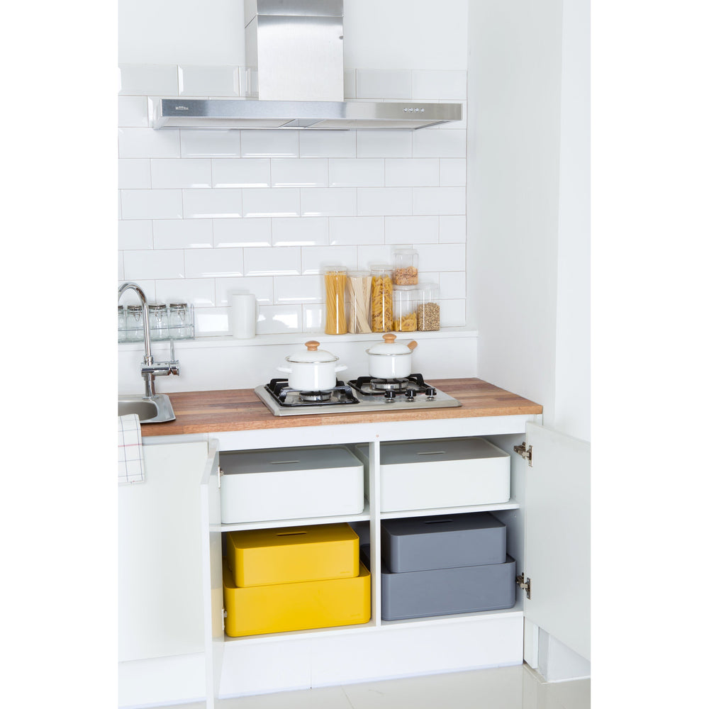 Caja organizadora Myroom Opera c/tapa L gris
