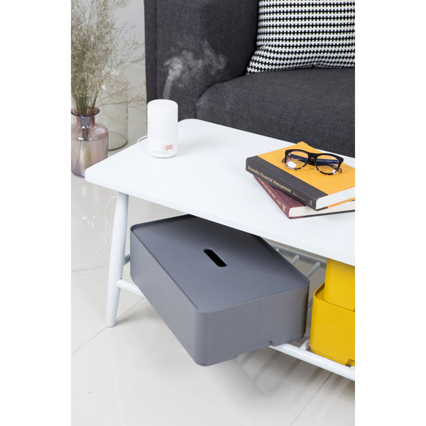 Caja organizadora Myroom Opera c/tapa L gris