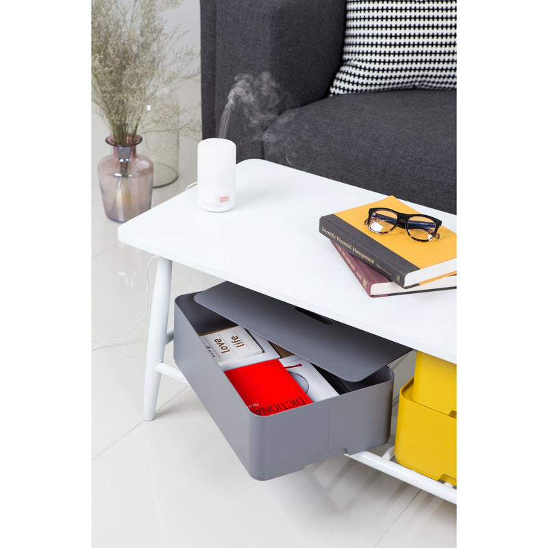 Caja organizadora Myroom Opera c/tapa M gris