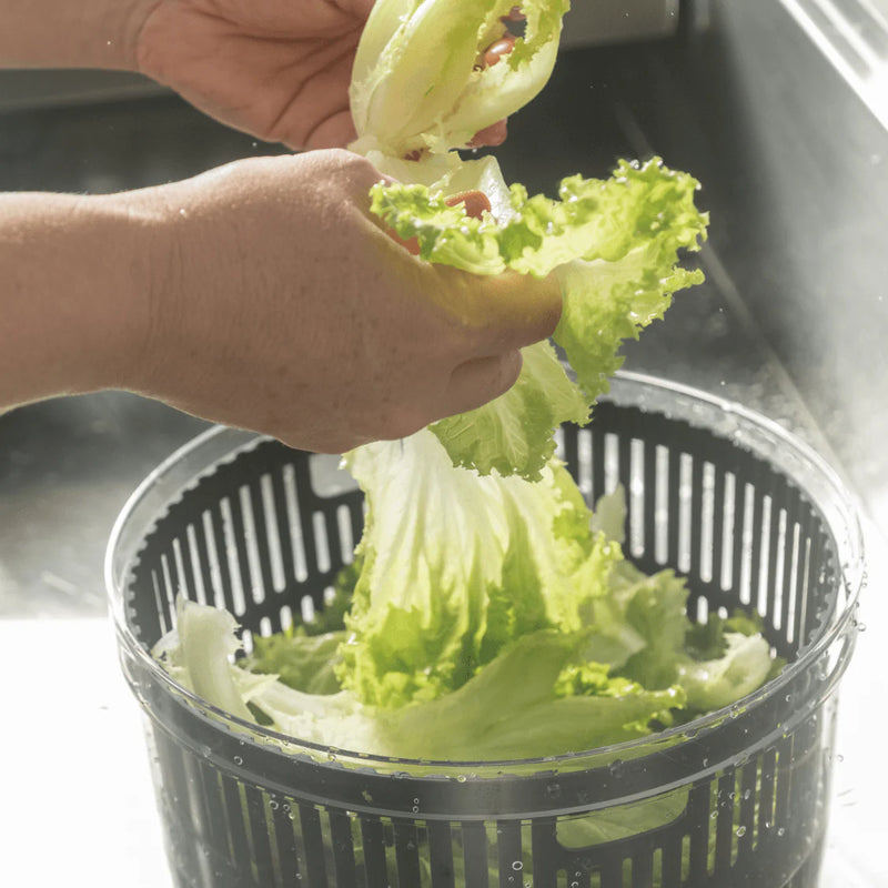 Centrifugador vegetales Clear Fresh 5.5L negro