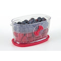 Conservador de berries 0.5 litros Prepworks