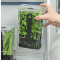 Conservador hierbas Clear Fresh 2.3L negro