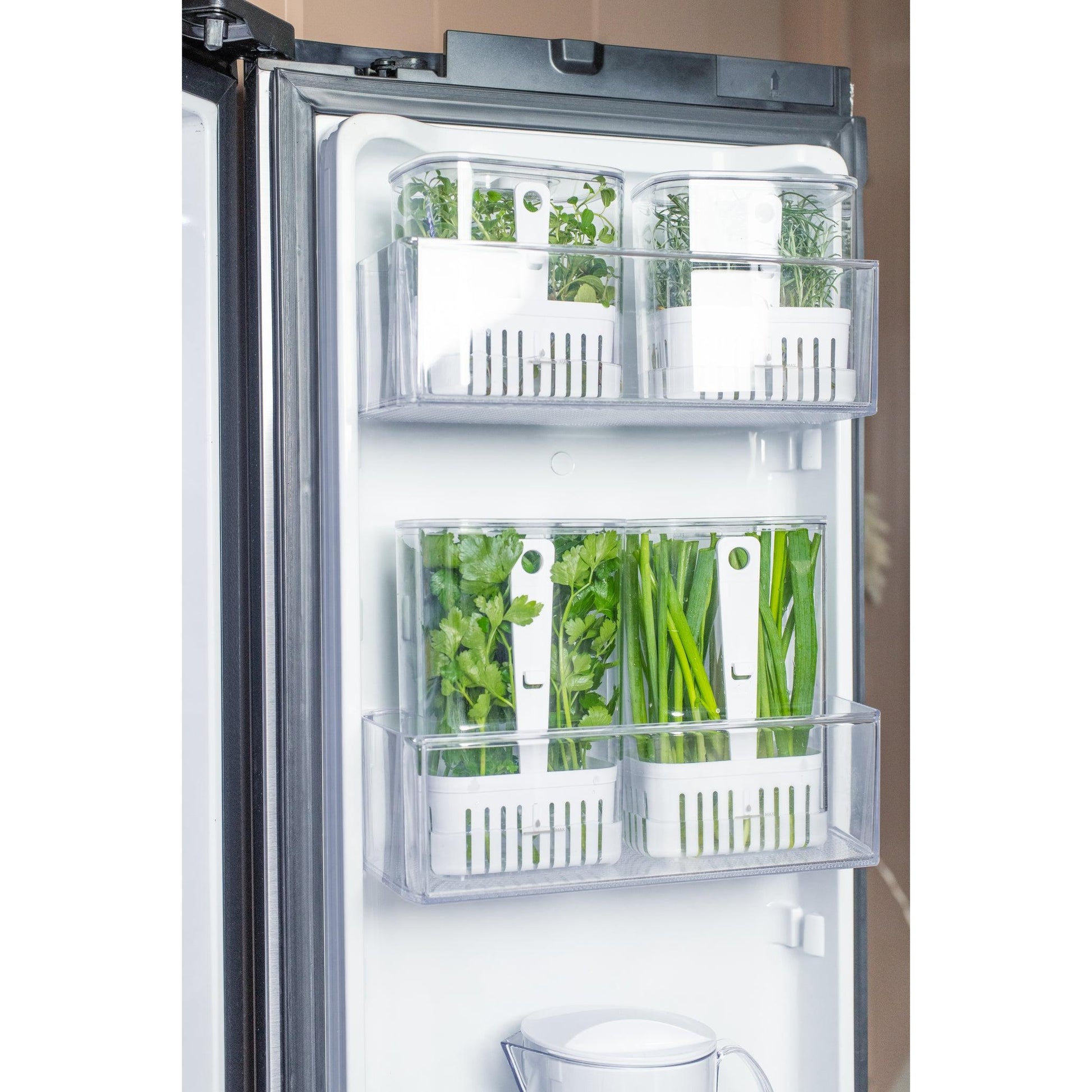 Conservador hierbas Clear Fresh transparente