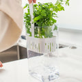 Conservador hierbas Clear Fresh transparente