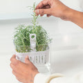 Conservador hierbas Clear Fresh transparente