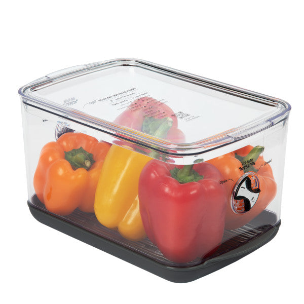 Conservador vegetales large Prokeeper+ 5.4 L