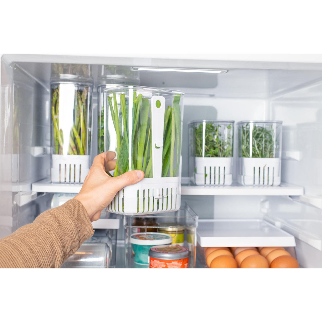 Conservador hierbas Clear Fresh transparente