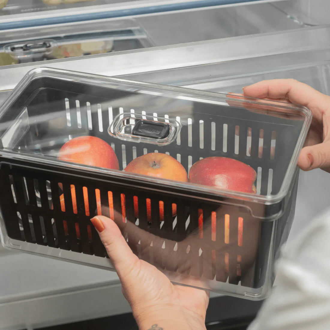 Organizador refrigeradora Clear Fresh c/cesta negro