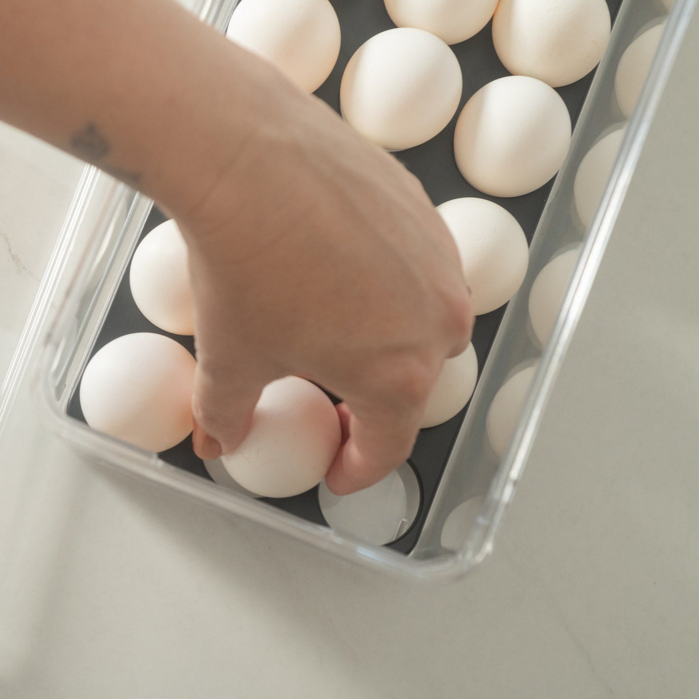 Organizador huevos c/tapa 36un Clear Fresh negro