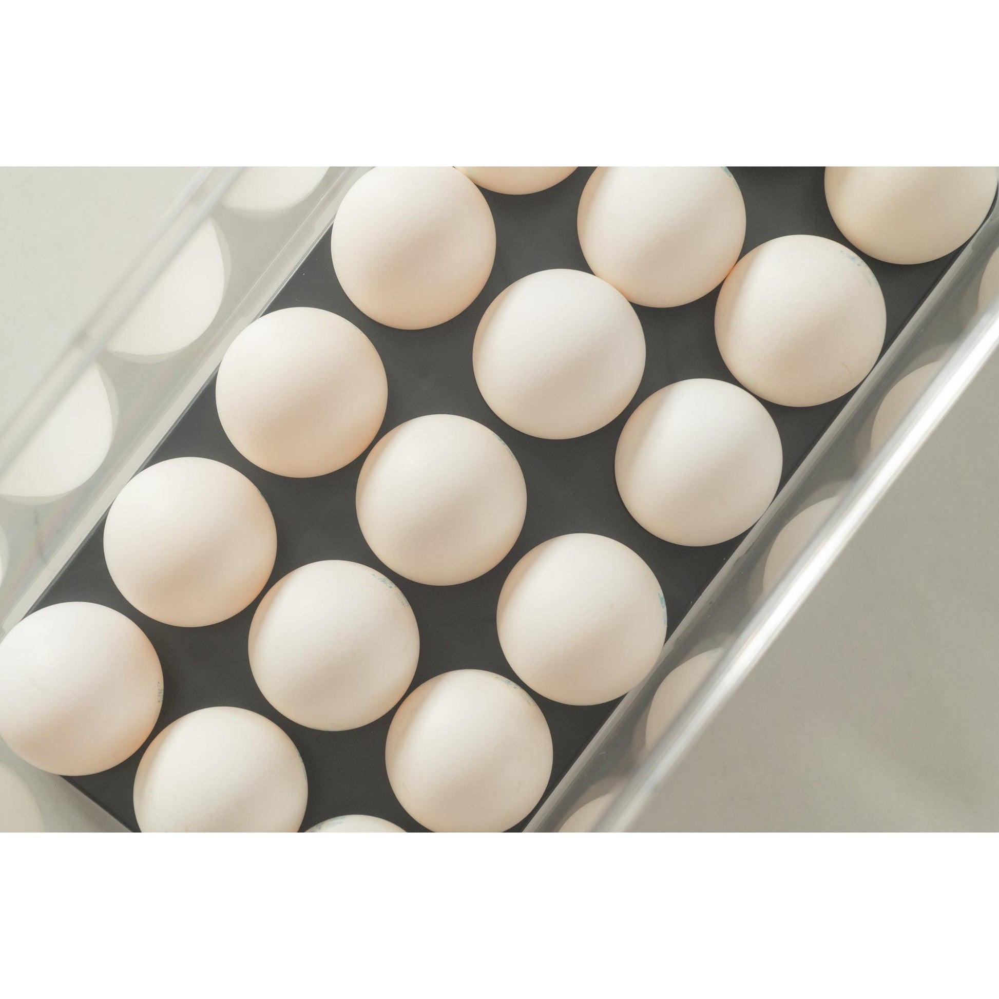 Organizador huevos c/tapa 36un Clear Fresh negro