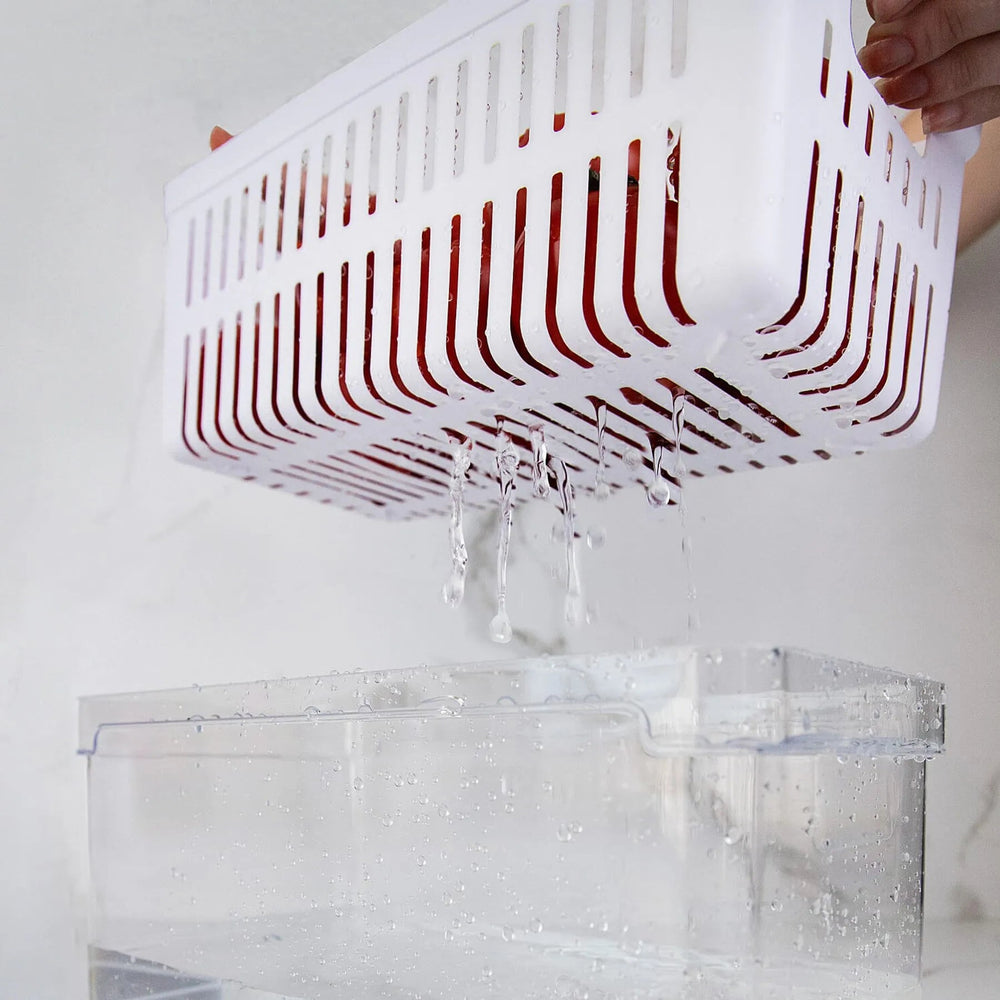 Organizador para refrigeradora c/ cesta Clear Fresh
