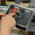 Organizador refrigeradora Clear Fresh c/cesta negro