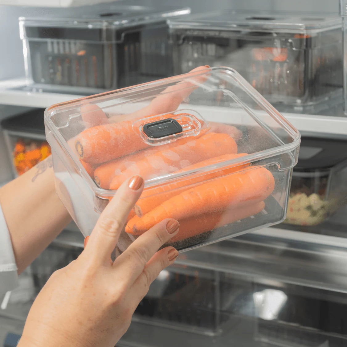 Organizador refrigeradora Clear Fresh c/tapa 2.2L negro