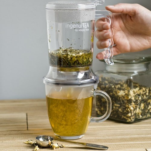 Tetera Personal IngenuiTEA 16oz