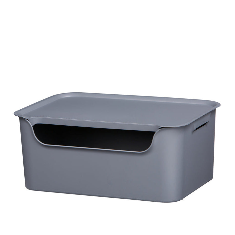 Caja organizadora Living box M 11 litros gris