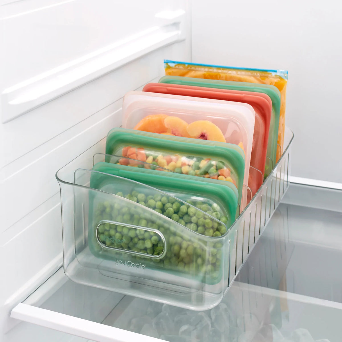 Contenedor 1L para Congelador o Freezer  Alimentos congelados, Freezer,  Congelado